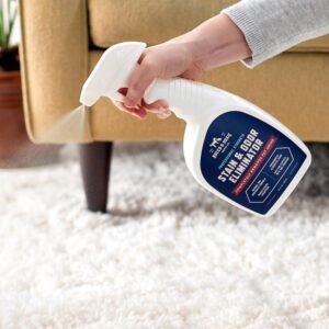 Enzyme Stain & Odor Eliminator, 32 Fl Oz